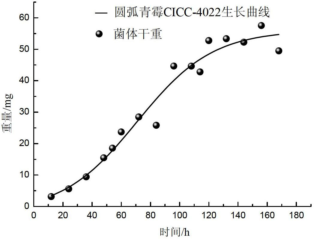 Method for preparing medium-low molecular weight dextran by using biological method