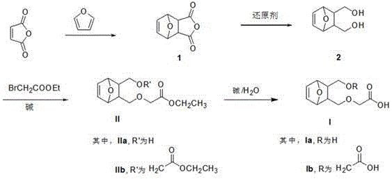 5,6-didehydronorcantharidin derivatives and their antitumor applications