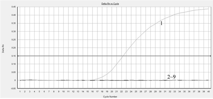 A method for the detection and identification of wrinkled plate abalone by fluorescent quantitative PCR