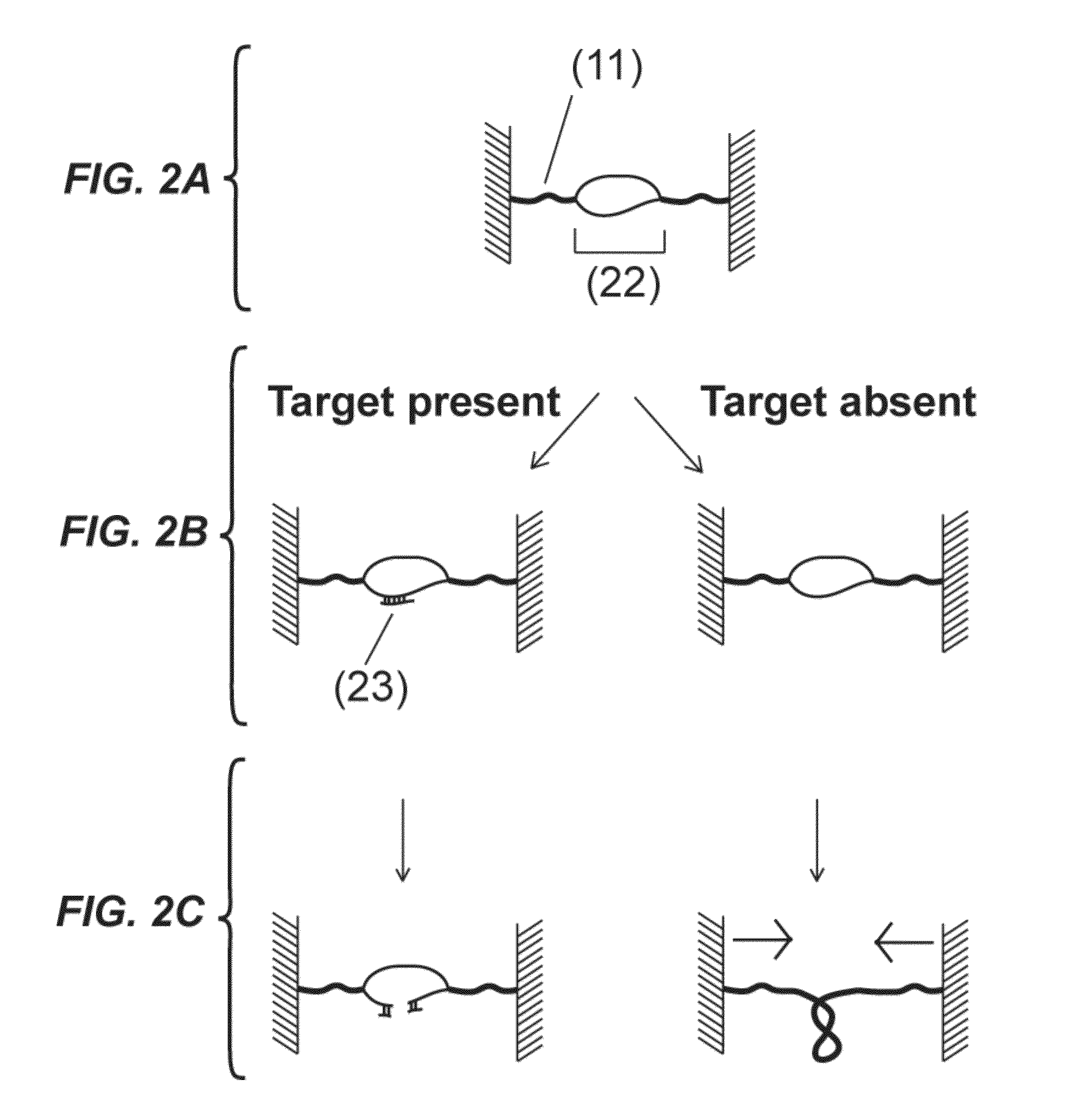 Detection units and methods for detecting a target analyte