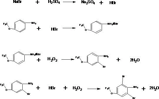 Preparation method of thifluzamide key intermediate, namely 2,6-dibromo-4-(trifluoromethoxy)aniline