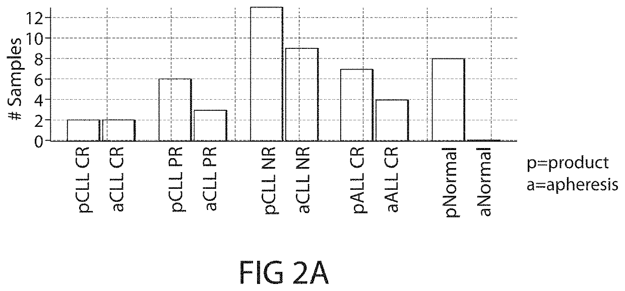 Biomarkers predictive of therapeutic responsiveness to chimeric antigen receptor therapy and uses thereof