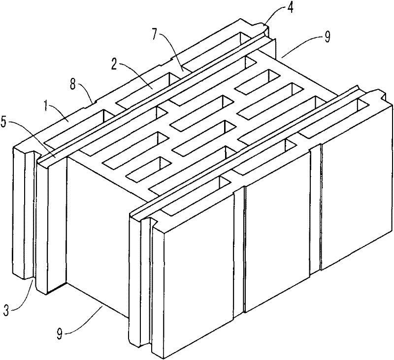 Seepage-prevention anti-shearing heat-insulating hollow building block