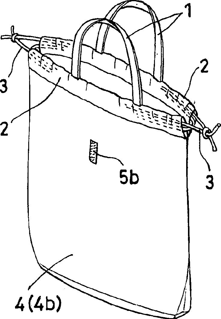 Bag with pocket for containing shoulder belt