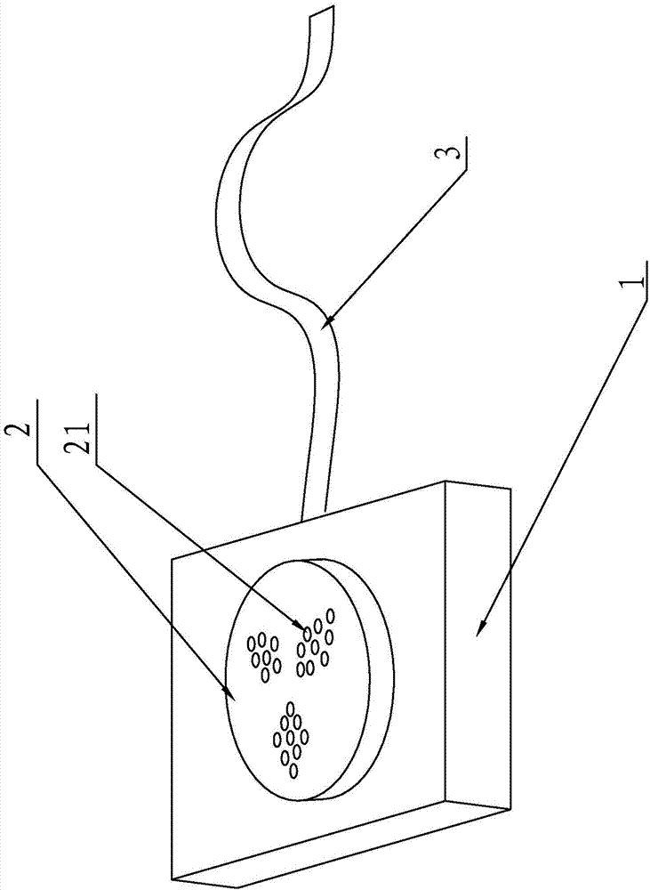 Negative-pressure fixing device for living insect