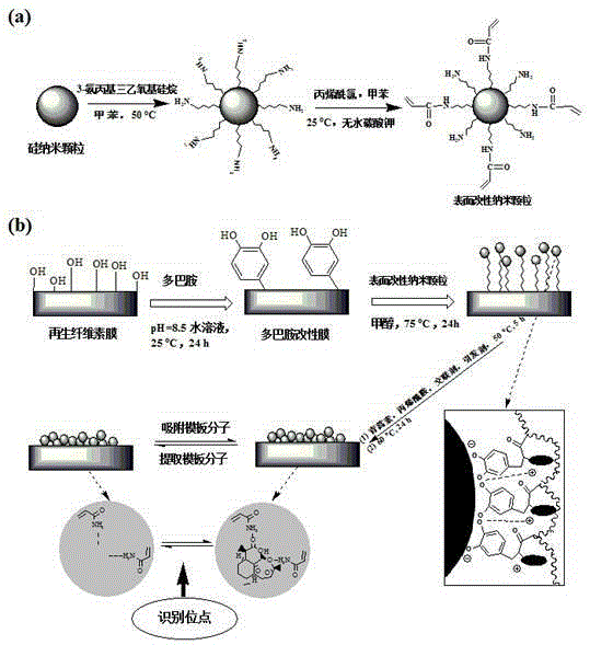 A preparation method of biomimetic artemisinin molecularly imprinted composite film
