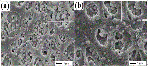 A preparation method of biomimetic artemisinin molecularly imprinted composite film