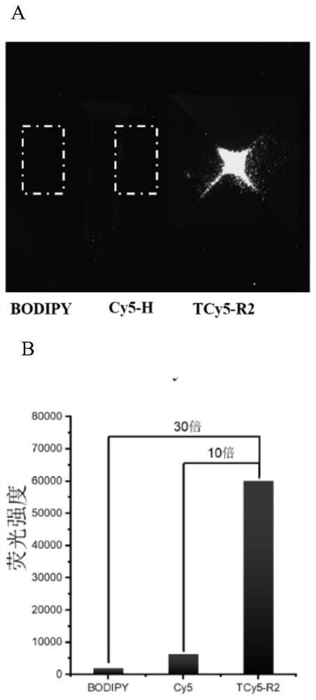 A class of triplet-state intersystem crossing cyanine dyes, preparation method and application thereof