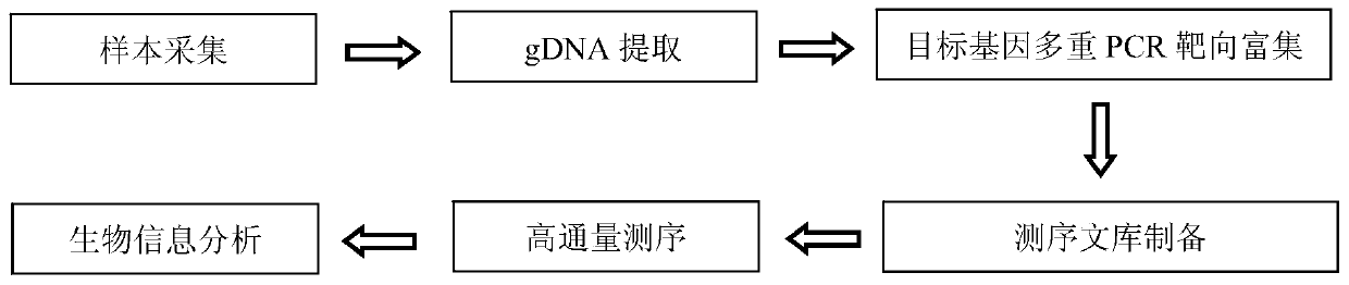 A kind of MMR gene mutation detection kit