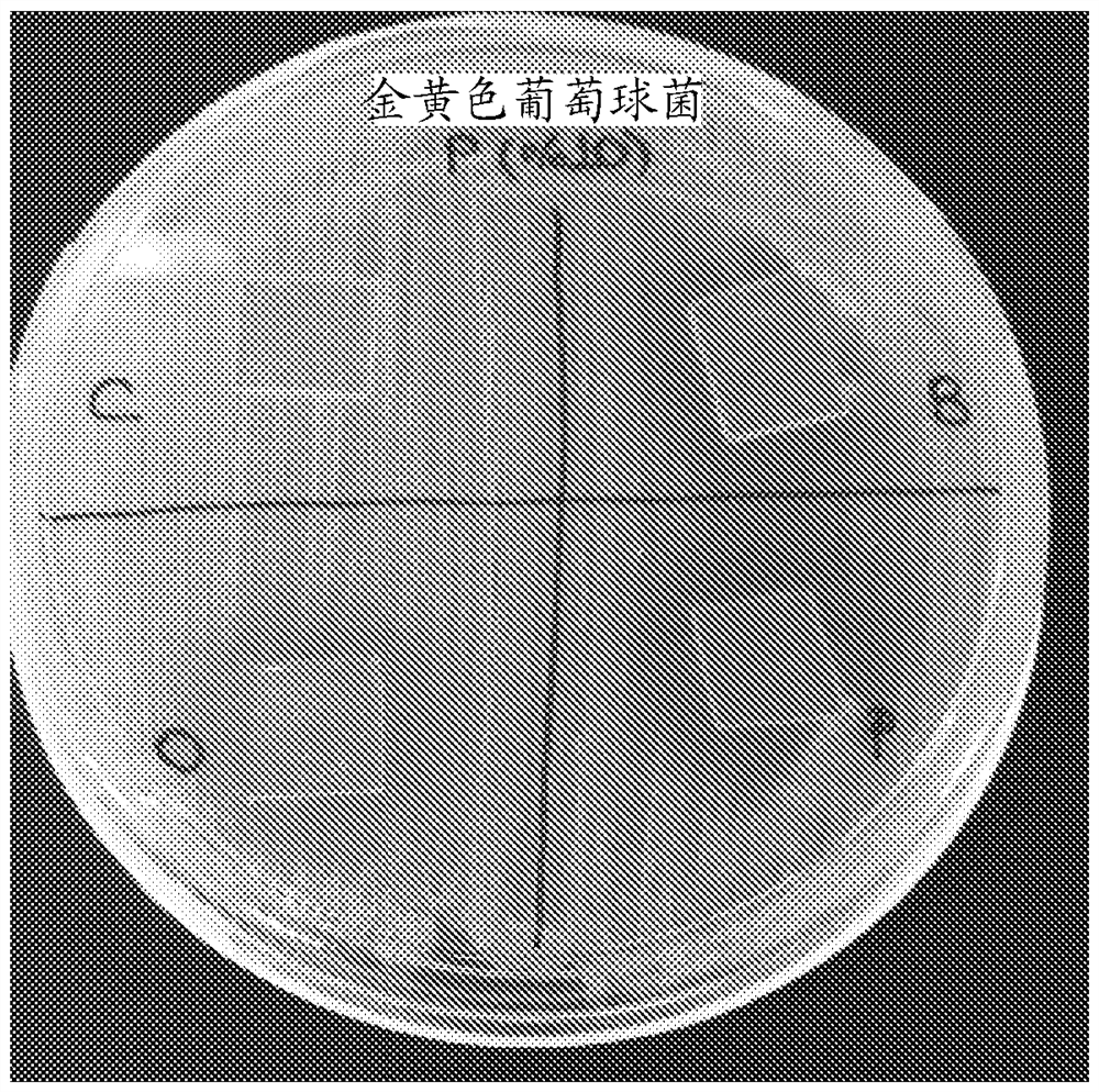 Antimicrobial coatings based on pectin or gelatin