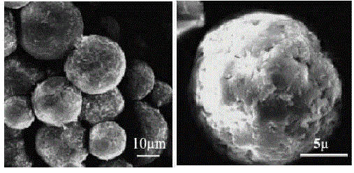 Starch microsphere slow-release fertilizer and preparation method and application thereof