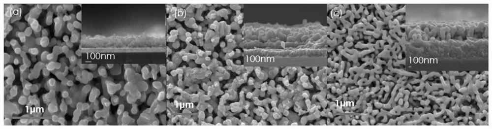 SnOx/BiVO4 electrode, preparation method thereof and application of SnOx/BiVO4 electrode to photoelectrocatalytic hydrogen peroxide synthesis