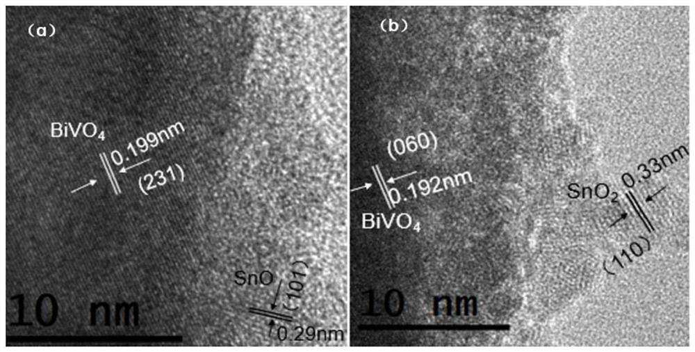 SnOx/BiVO4 electrode, preparation method thereof and application of SnOx/BiVO4 electrode to photoelectrocatalytic hydrogen peroxide synthesis