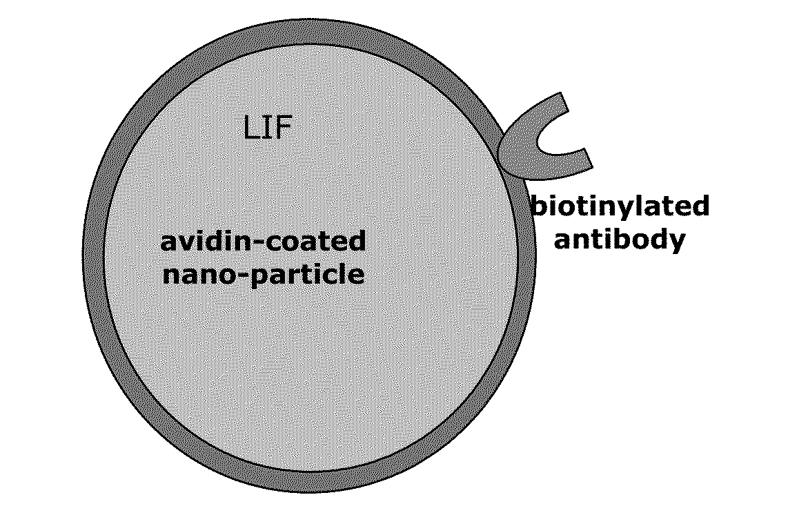 Immuno-modulatory composition