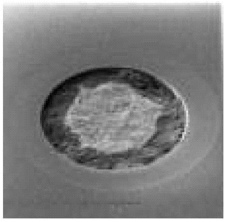 Method of forming through silicon vias