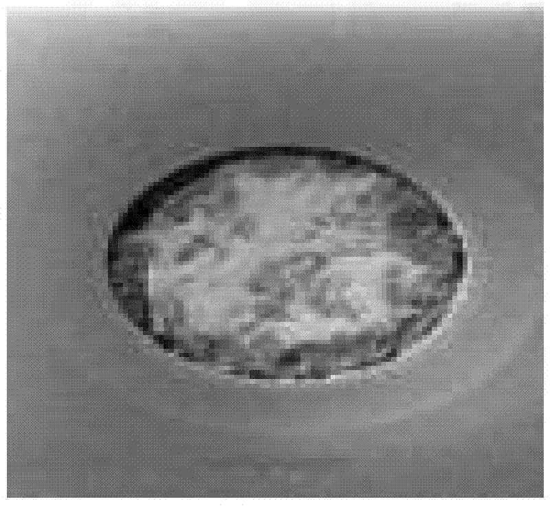 Method of forming through silicon vias