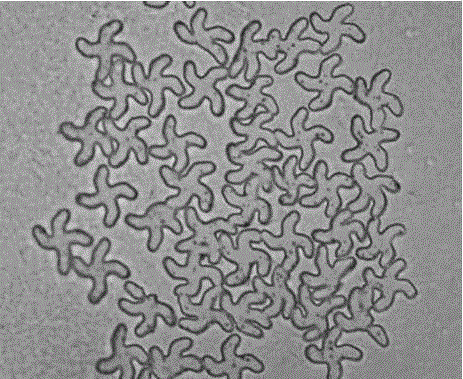 Thermoplastic resin false twist processed filament