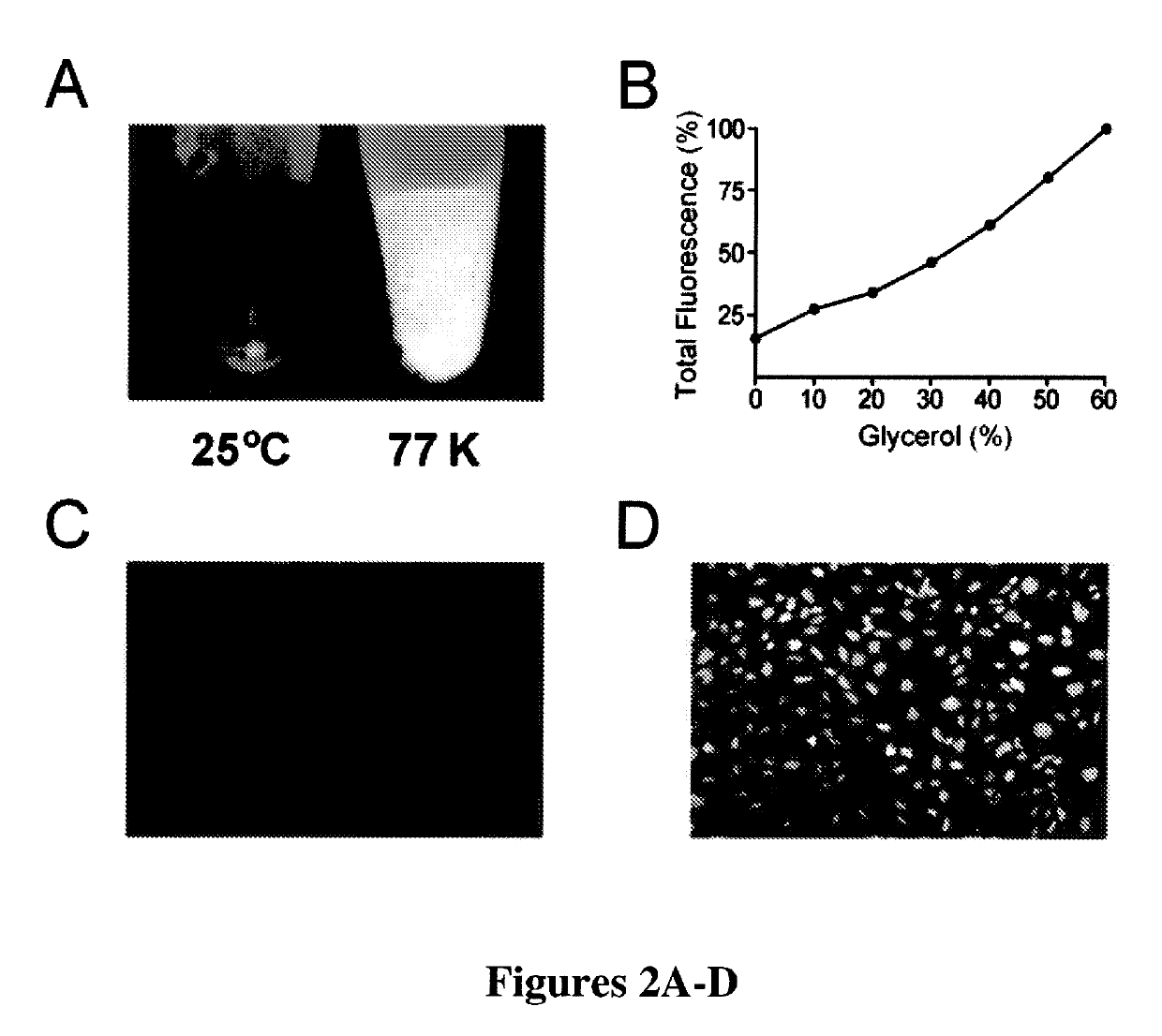Coupled recognition/detection system for in vivo and in vitro use