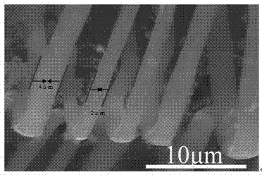 Novel method for preparing Co3O4 spiral nanobelt by using three-dimensional porous kenaf stalk carbon as template