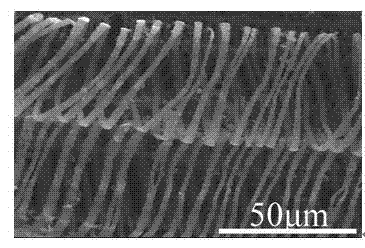 Novel method for preparing Co3O4 spiral nanobelt by using three-dimensional porous kenaf stalk carbon as template