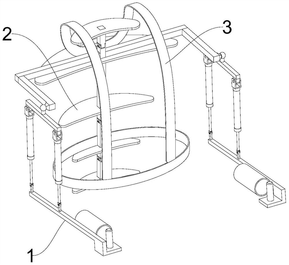 Fishbone-type exoskeleton device
