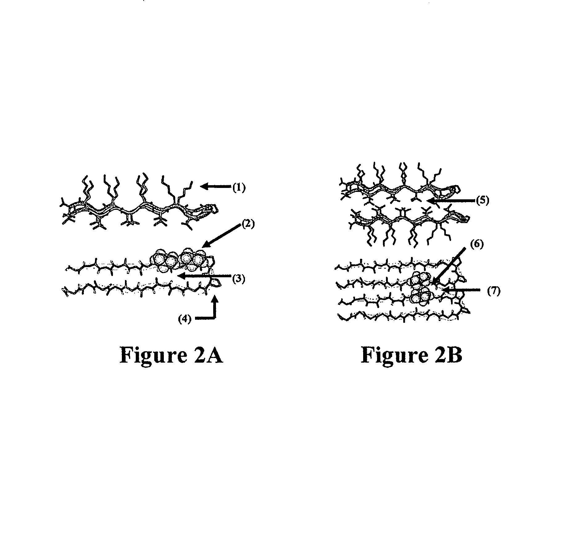 Hydrogels and uses thereof
