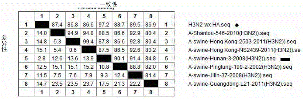 Vaccine composition containing porcine circovirus type 2 antigen and swine influenza antigen