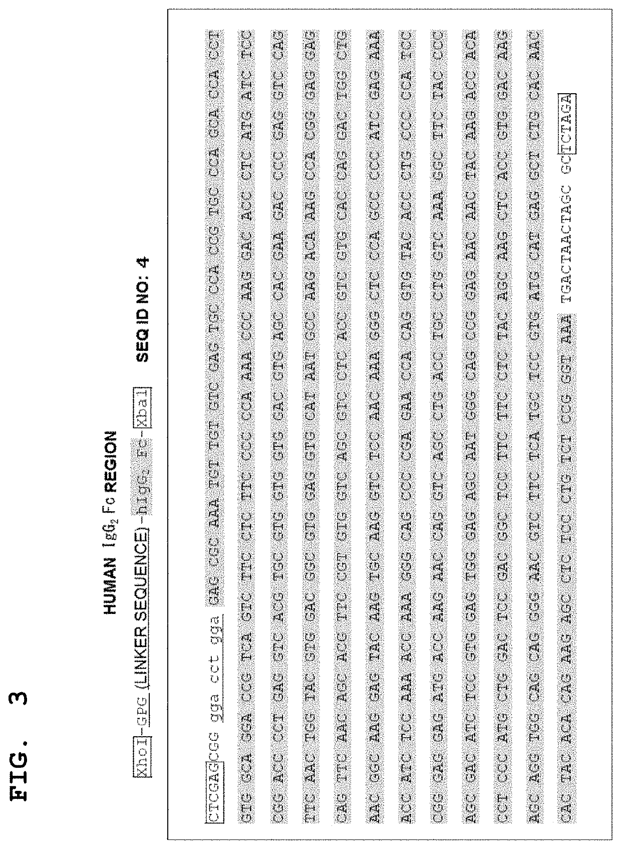 Agent for enhancing phagocytosis ability of neutrophils