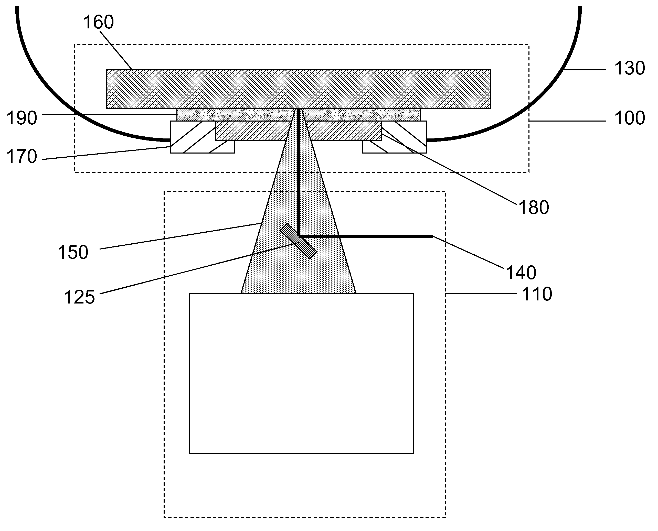 Apparatus for stabilizing mechanical, thermal, and optical properties and for reducing the fluorescence of biological samples for optical evaluation