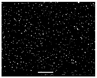 An enzyme-free glucose sensor