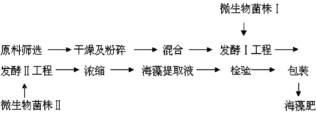 A kind of preparation method and its product of enzymolysis highly active seaweed organic fertilizer