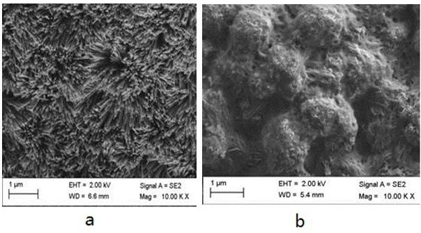 A kind of preparation method of superhydrophobic hydroxyapatite film layer on magnesium alloy surface