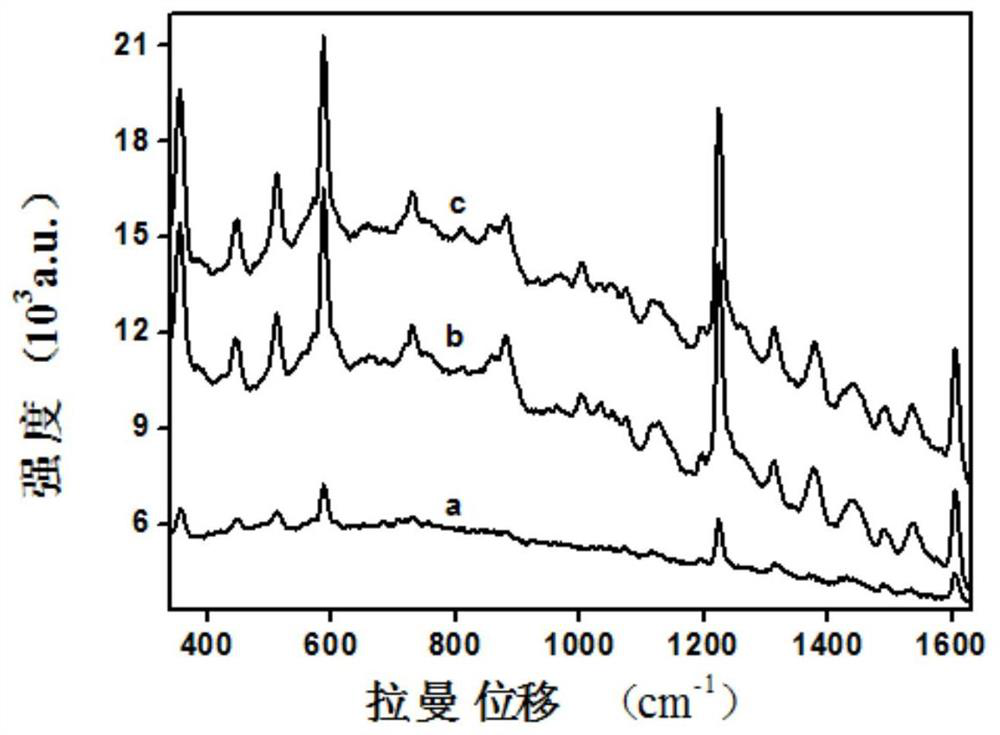 A rapid detection method for dioxin-like pollutants based on enhanced Raman spectroscopy