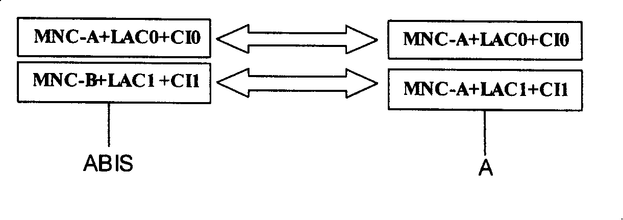 MNC conversion, and switching method between different MNCs