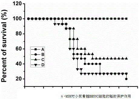 Application of α-melanocyte-stimulating hormone in the preparation of drugs for preventing radiation damage by increasing white blood cells