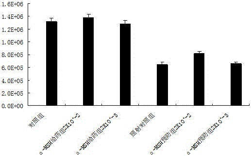 Application of α-melanocyte-stimulating hormone in the preparation of drugs for preventing radiation damage by increasing white blood cells