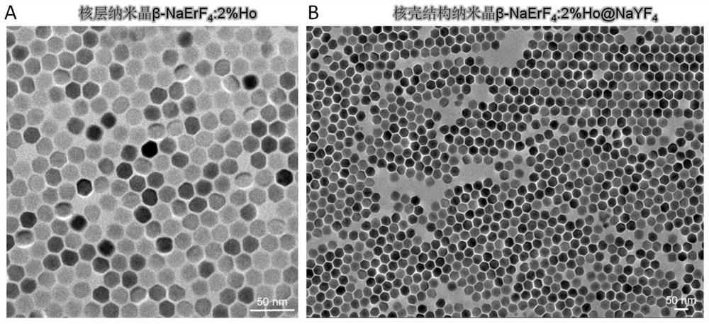 Virus-like hollow manganese oxide loaded near-infrared two-b region excited rare earth nanocrystal as well as preparation method and application thereof