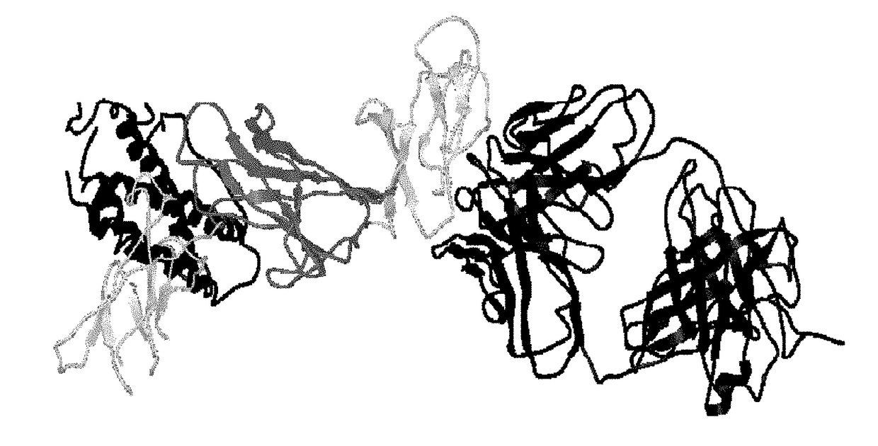 Method of Treating Psoriasis with Increased Interval Dosing of Anti-IL12/23 Antibody