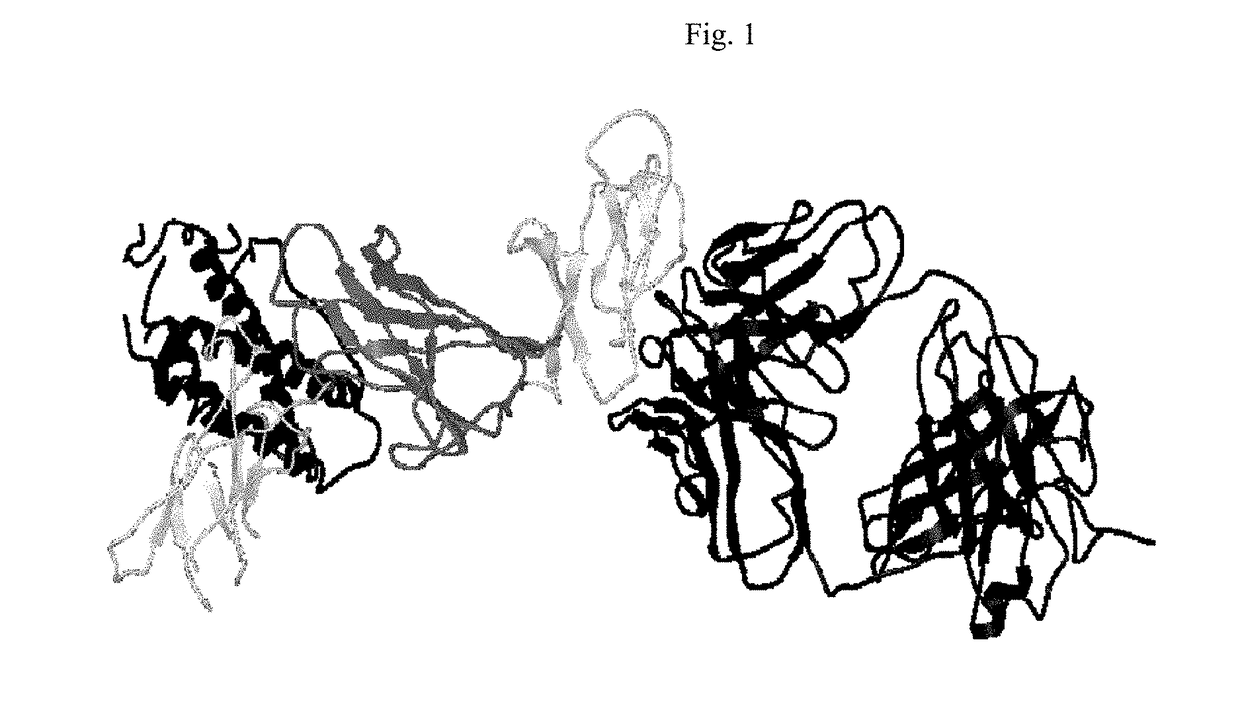 Method of Treating Psoriasis with Increased Interval Dosing of Anti-IL12/23 Antibody