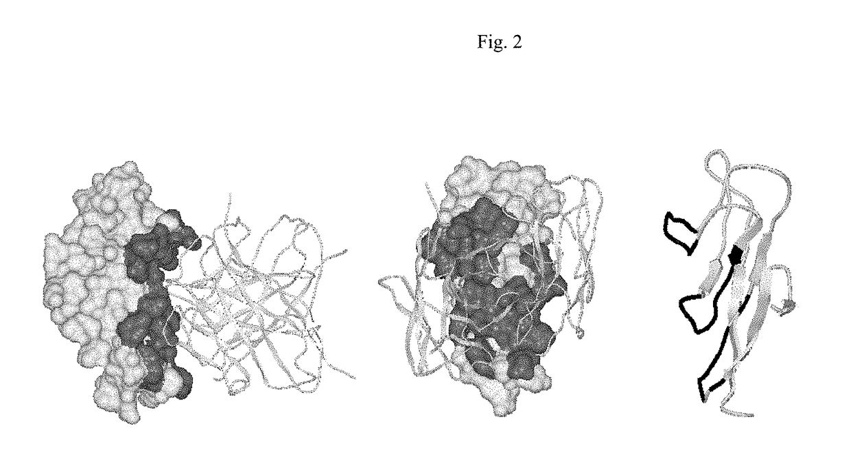 Method of Treating Psoriasis with Increased Interval Dosing of Anti-IL12/23 Antibody