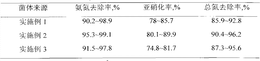 Culture system of function strengthened microbe and directional concentration method