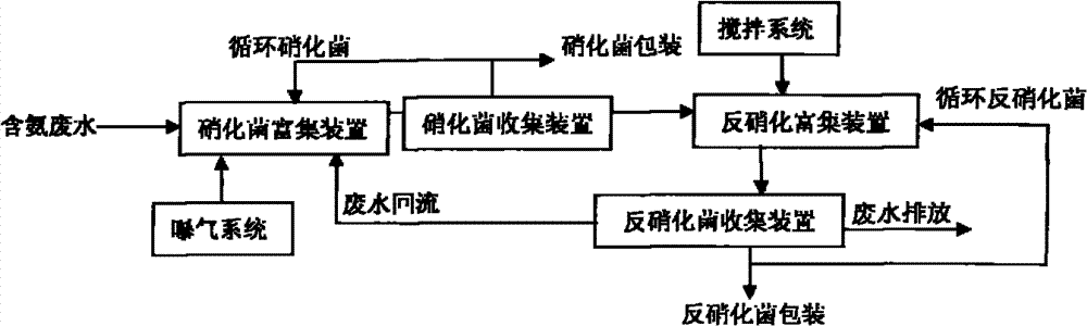 Culture system of function strengthened microbe and directional concentration method