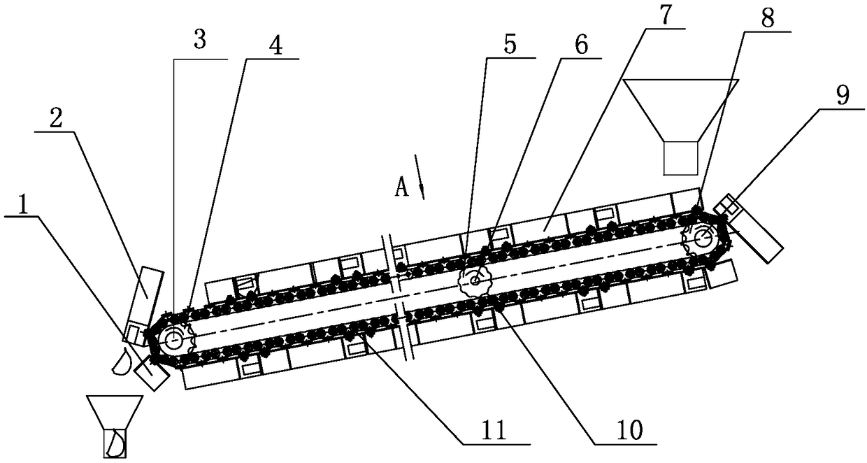 Garlic Orientation Device