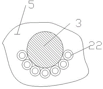 Nut Protein Extraction Apparatus with Output Tube and Secondary Accessory Teeth