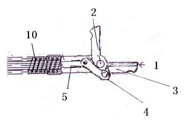 Double-end endoscope flexible pipe type sampling tongs