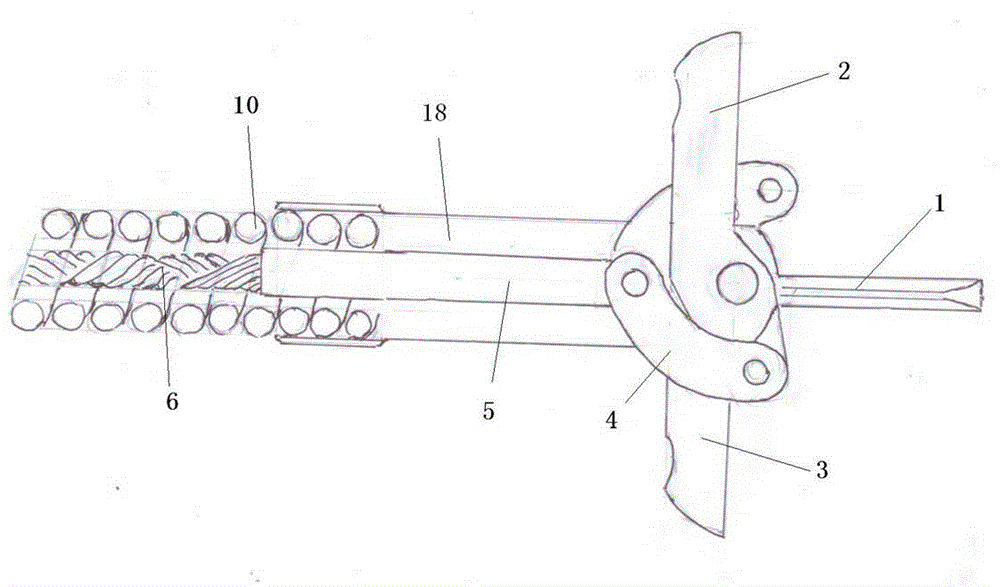 Double-end endoscope flexible pipe type sampling tongs