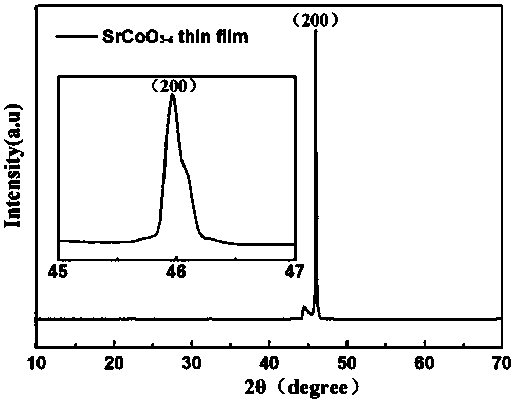 Preparation method of strontium cobaltite film material