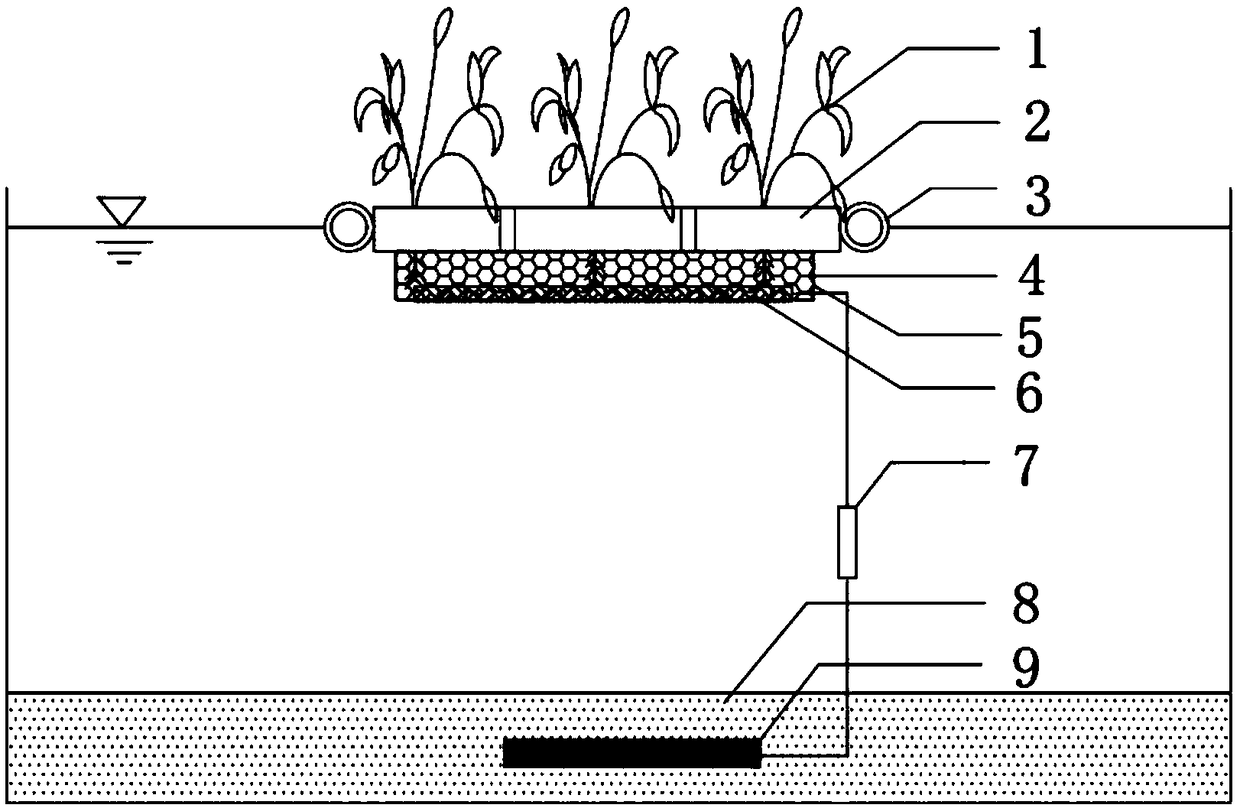 Ecological floating bed-sediment microbial fuel cell coupled device for water body remediation