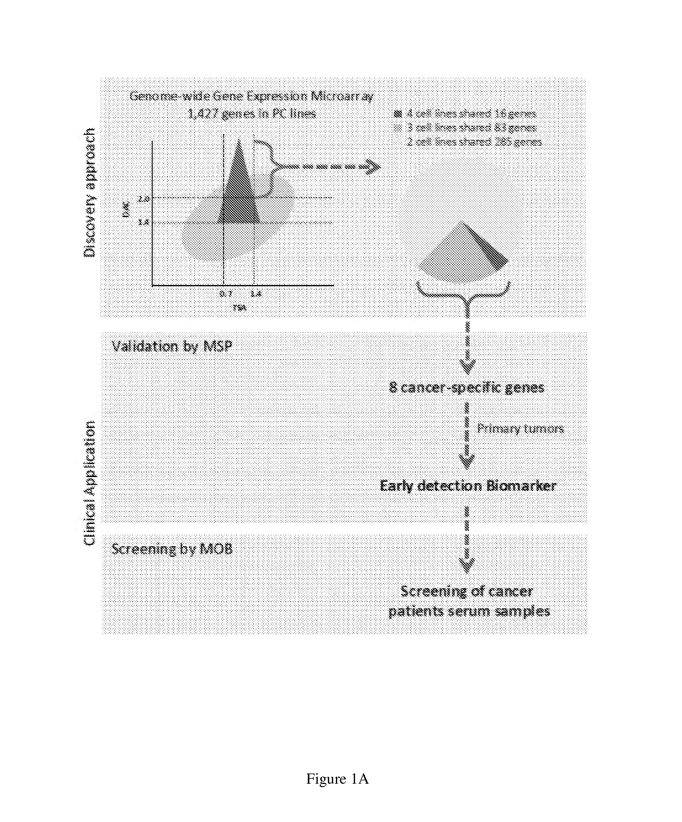 Compositions and methods for detecting a neoplasia