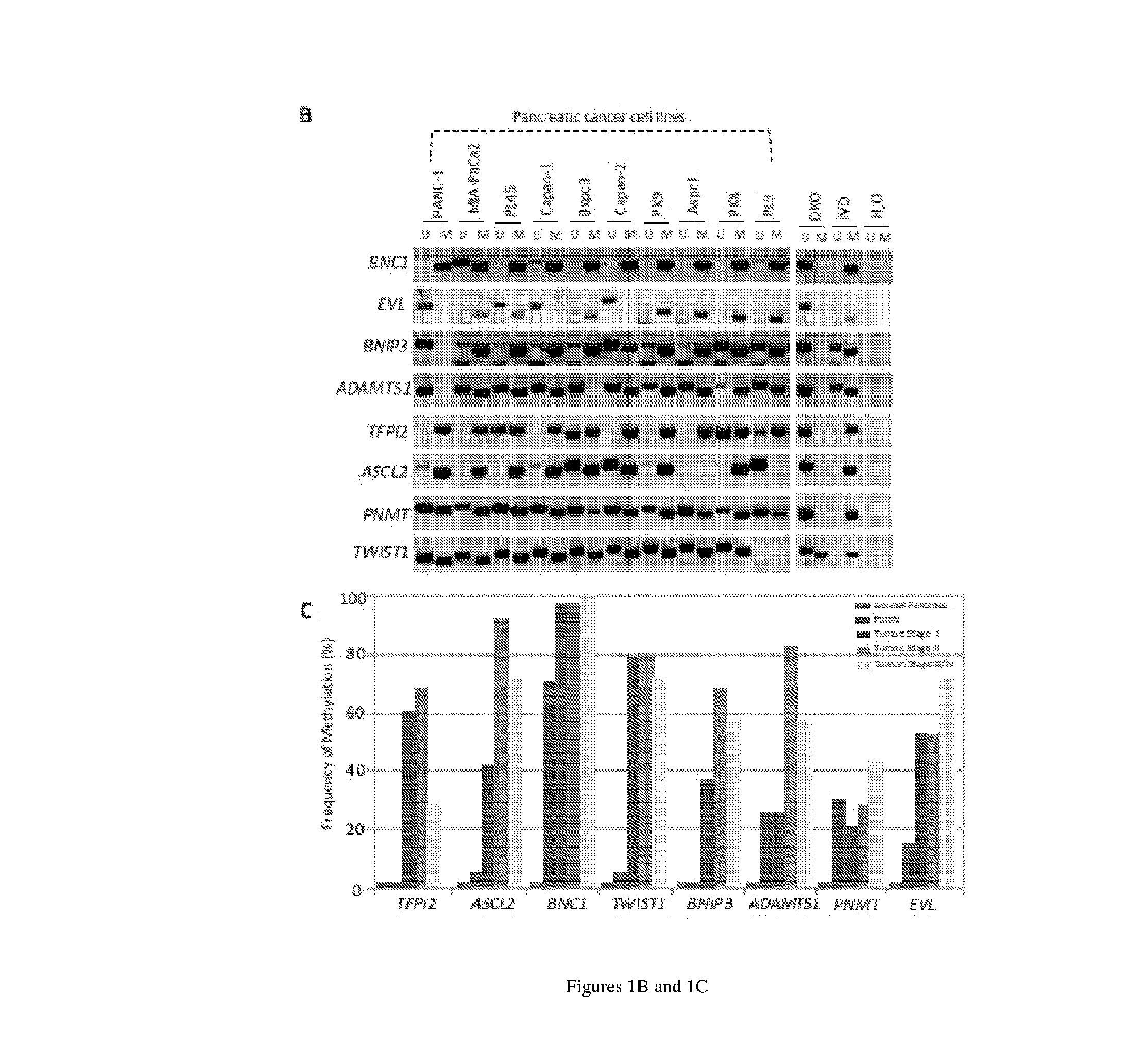 Compositions and methods for detecting a neoplasia